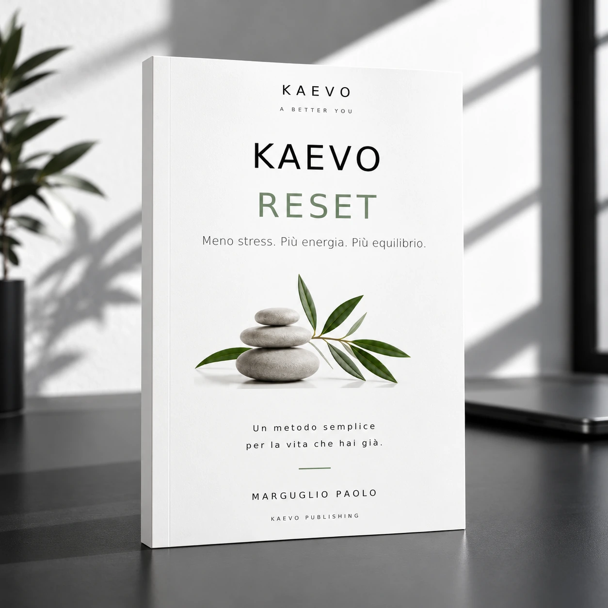 Mockup ufficiale del libro RESET